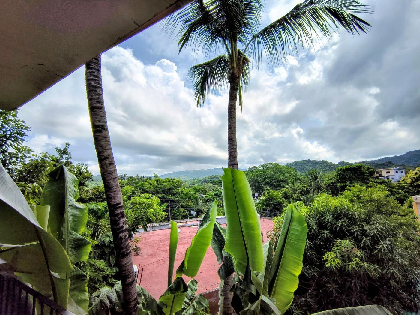 The view from Casita Sol, palms, banana leaves, and the green hills